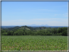 foto Paesaggi alle Pendici del Monte Grappa